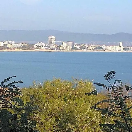 Flores Park 3*