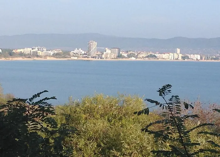 Flores Park Sunny Beach